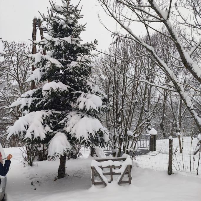 Maison De Montagne Au Calme Avec Cheminee Poubeau エクステリア 写真